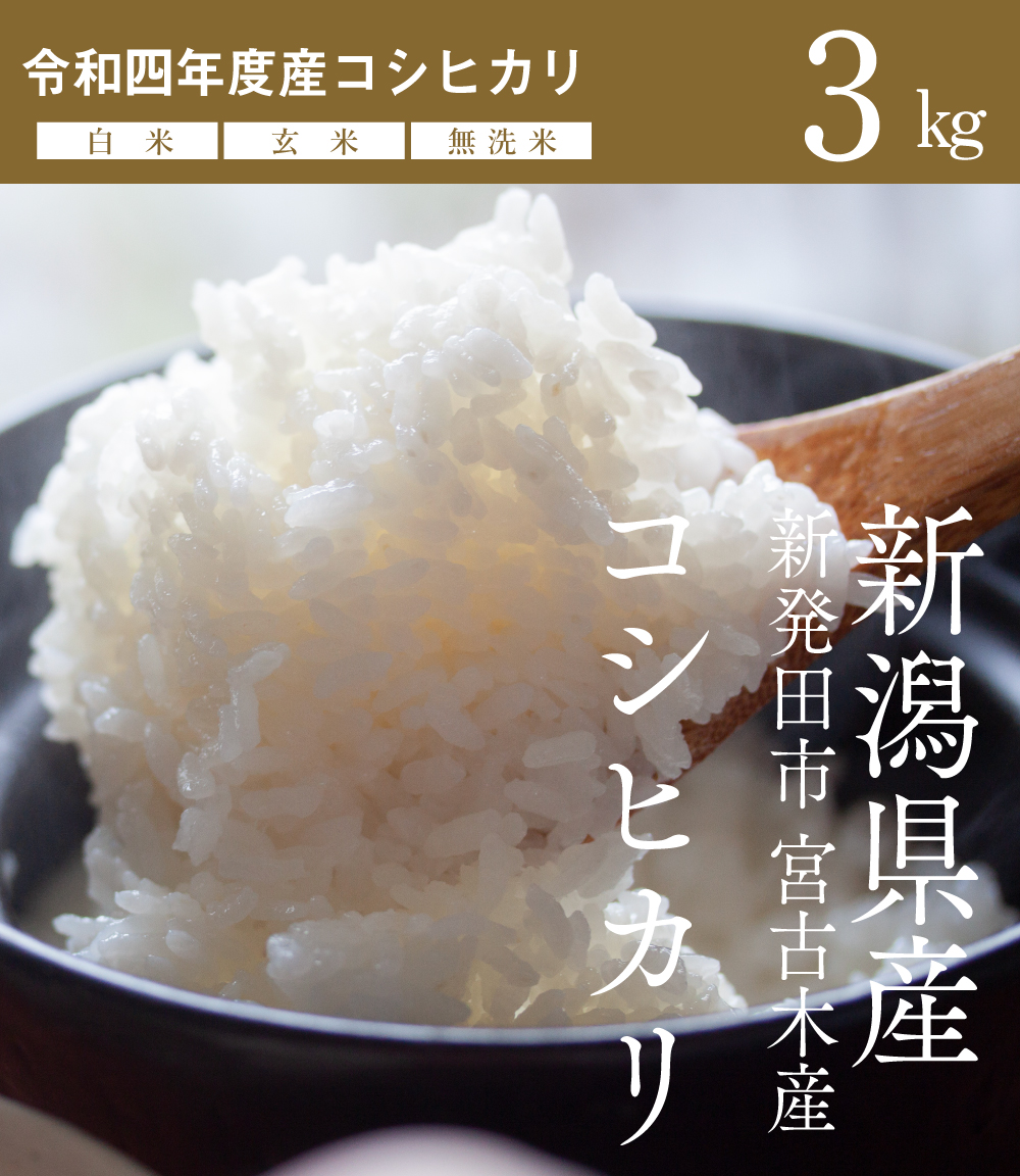 関川産業　新潟県産コシヒカリ 令和4年産 産地直送 【送料無料】3kg