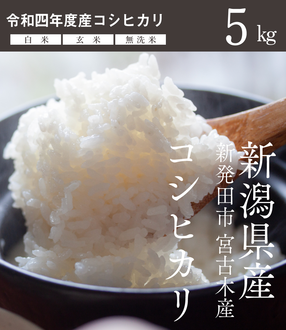 関川産業　新潟県産コシヒカリ 令和4年産 産地直送【送料無料】5kg